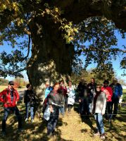 wanderung-muhleichenweg